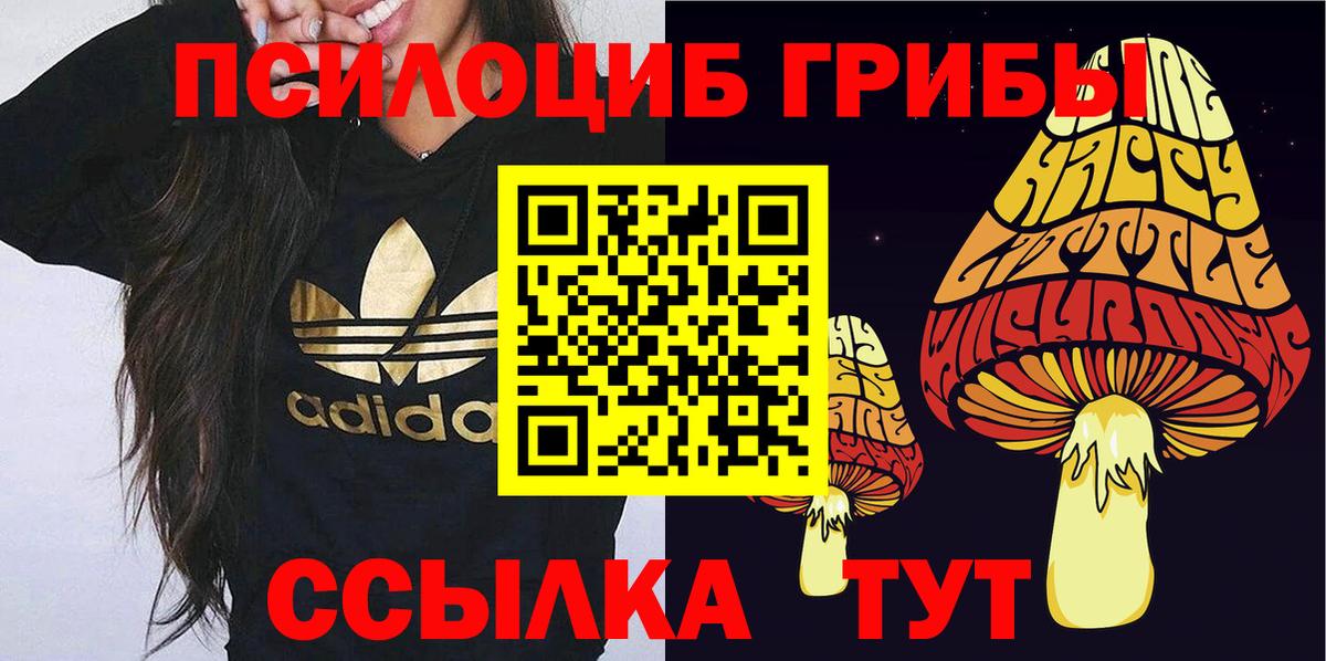 Галлюциногенные грибы мицелий Апшеронск