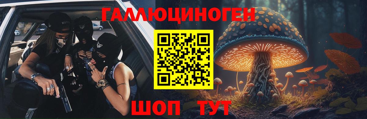 Галлюциногенные грибы Psilocybe  Вход с VPN  Апшеронск 